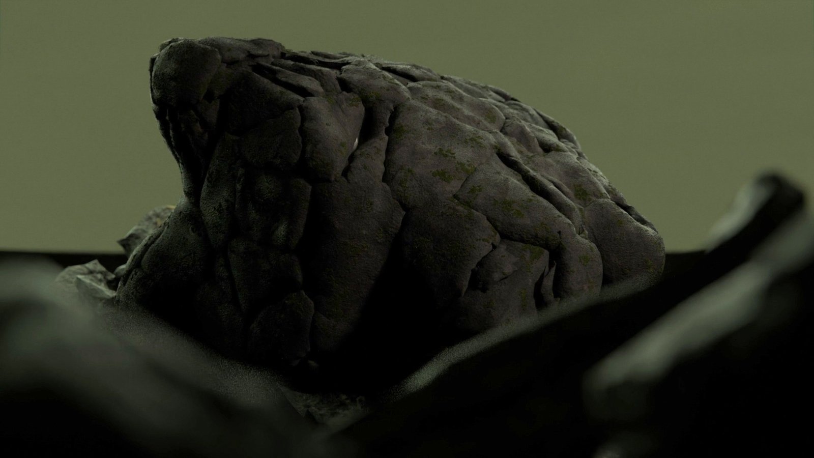 PR·YOU Logo Animation